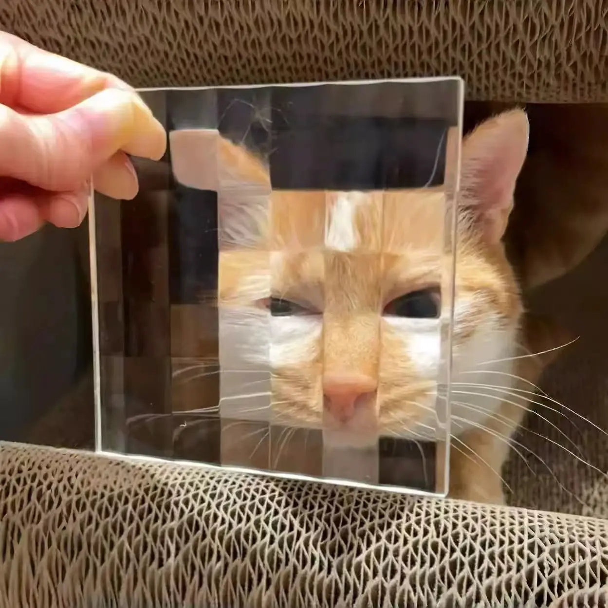 Pixel Photography Tool Transparent Acrylic Mosaics